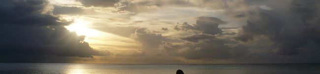 yutata1987's header image