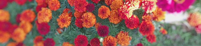 ai10270605's header image