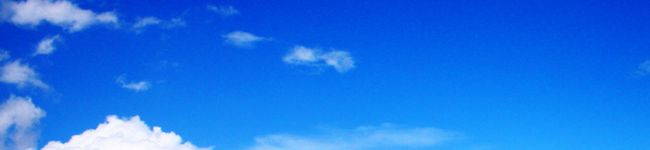お雑煮's header image