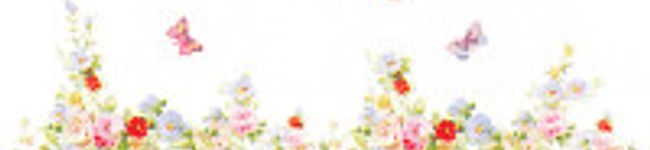 キャラメルあずさ♪'s header image