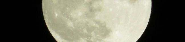 はちみつMom's header image