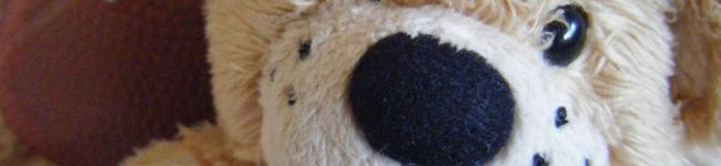 7kuma7's header image