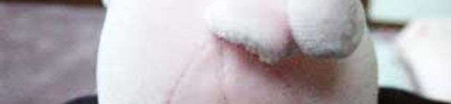 佳菜☆'s header image