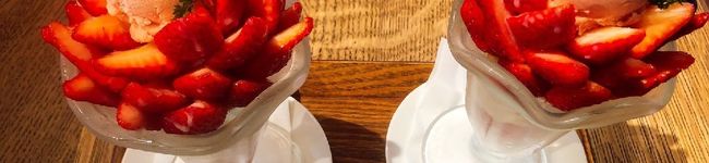 mizuki3242's header image