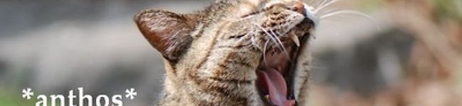 ・・anthos・・'s header image