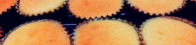 mikotaka's header image