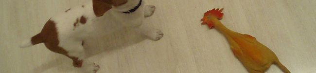 skiny555's header image