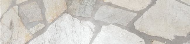 鯖と檸檬と's header image