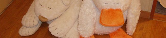おれんじひめ's header image