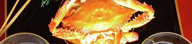 ショーンザシッポ's header image