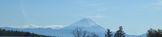 sacooker's header image