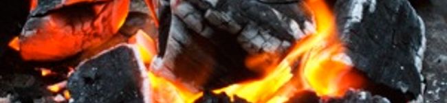 mitesolo's header image