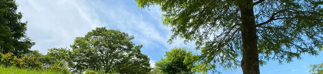 たんたんのキッチン's header image