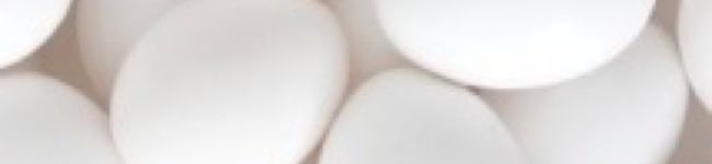管理栄養士's header image