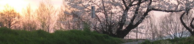 9632kinako's header image