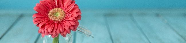 さほっち。's header image
