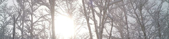 初心者あき's header image