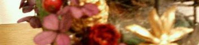 ｈｕｍｉｔｕｋｉ's header image