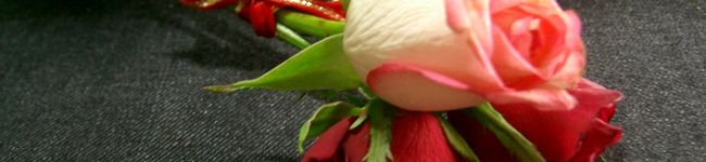 ヨッシー５６'s header image