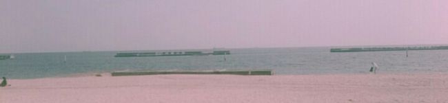 。からめる's header image