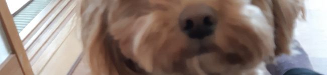 ベリ子♡'s header image
