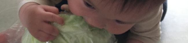 ぴかりのまんま's header image