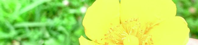 ★料理記録★'s header image