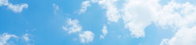 干物CA's header image