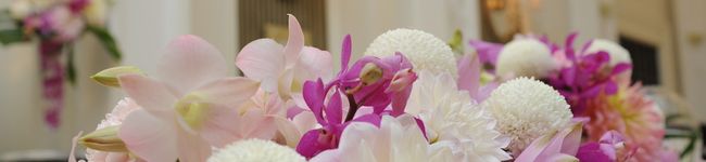 anny14's header image