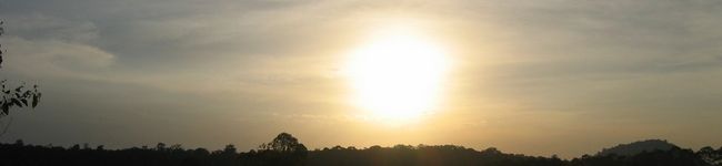 漁師ママ's header image