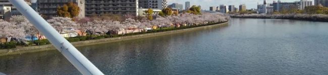 ぺこじゃむ's header image