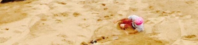 kotaroo0's header image