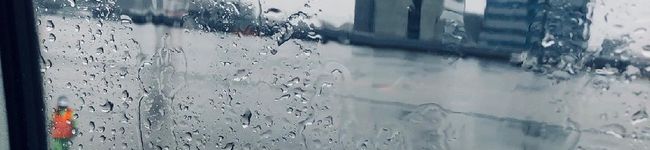 食べれればよし's header image