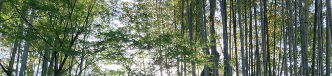 ♪small♪'s header image