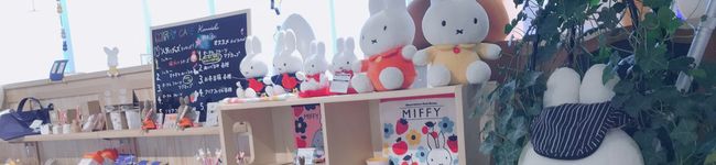 miffy✩'s header image