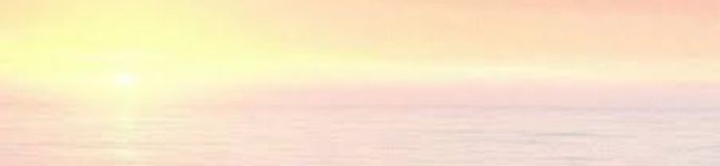 mama_miy's header image