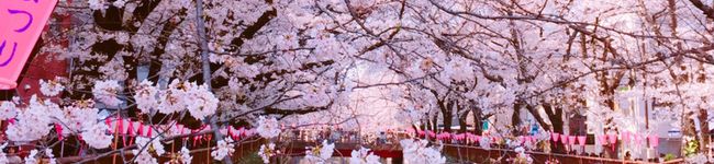 tomopi0120's header image