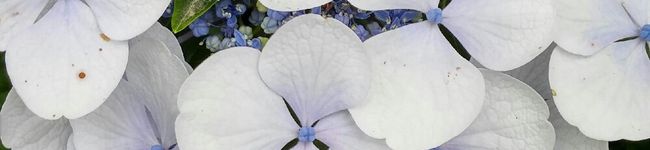 mimimememe's header image
