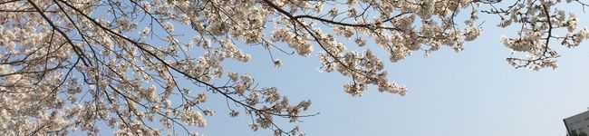 ハムもちのキッチン's header image