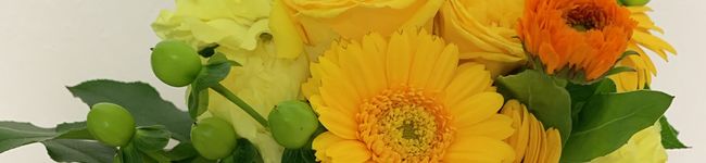 FlowerKzkz's header image