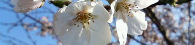 mia0707's header image
