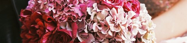 ｔｉｒａ's header image