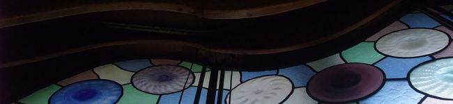 naechicca's header image