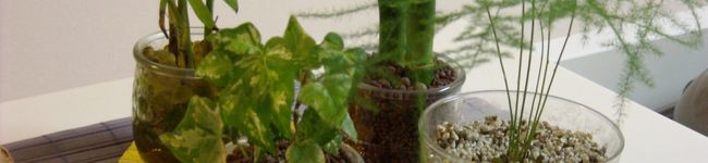 m posi's header image