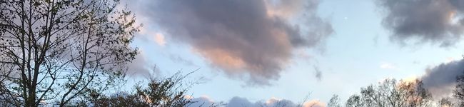 reiiiina07's header image