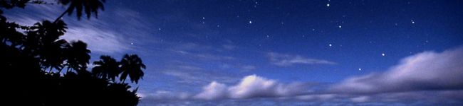 ゆっちゃんの料理's header image