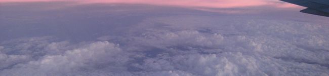 ねこるる's header image
