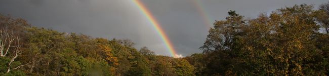komerry's header image