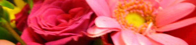 RikA。's header image