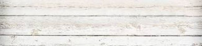 茶々麻呂のママ♡'s header image
